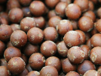 Red Bloodworm Boilies